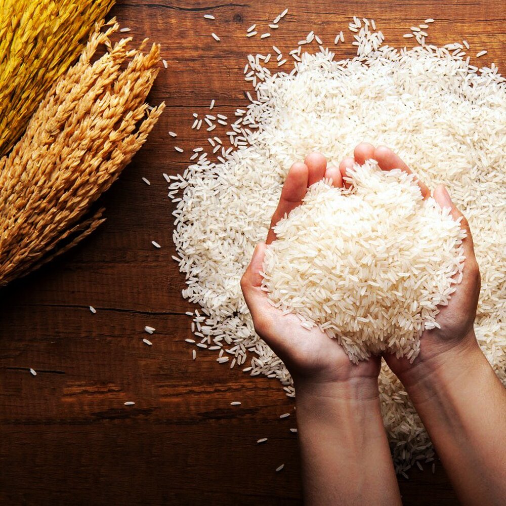انجمن واردکنندگان برنج از کشاورز ایرانی حمایت می‌کند