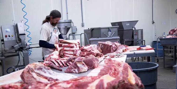 گرانی گوشت در آمریکا و اجبار به واردات از کشورهای دیگر پس از 25 سال