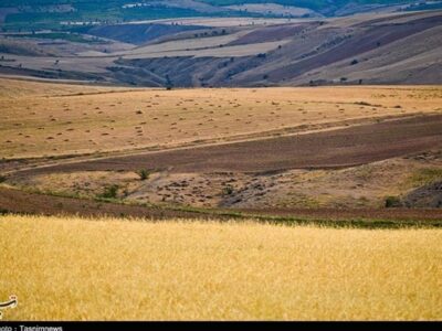 پرداخت وام قرض الحسنه ۲۰۰ میلیون تومانی برای توسعه دیمزارها