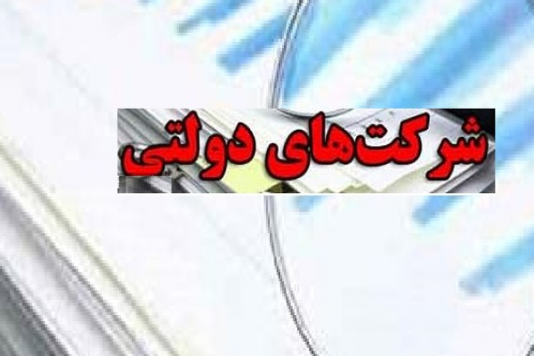 شرکت‌ های دولتی