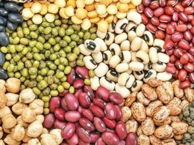 حبوبات در آستانه رمضان و نوروز گران‌تر می‌شود؟/ روایت تازه از پشت‌پرده بازار
